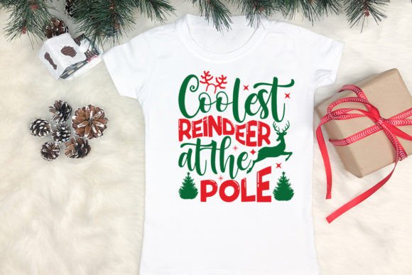 Coolest Reindeer at the Pole: Graphics & Crafts Review
