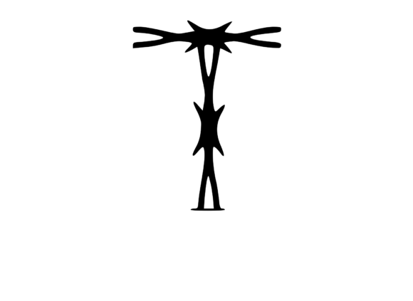 Sharp Barbed Security Wire Mono T: Graphics for Crafts